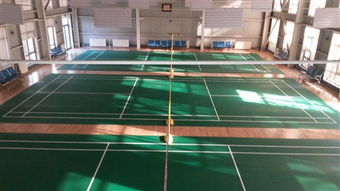 專注品質(zhì)，服務運動——北京達森運動木地板有限責任公司