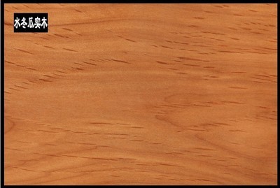 佛山市南海區(qū)駿藤家具 熱推新品真藤沙發(fā)，引領酒店家具新潮流